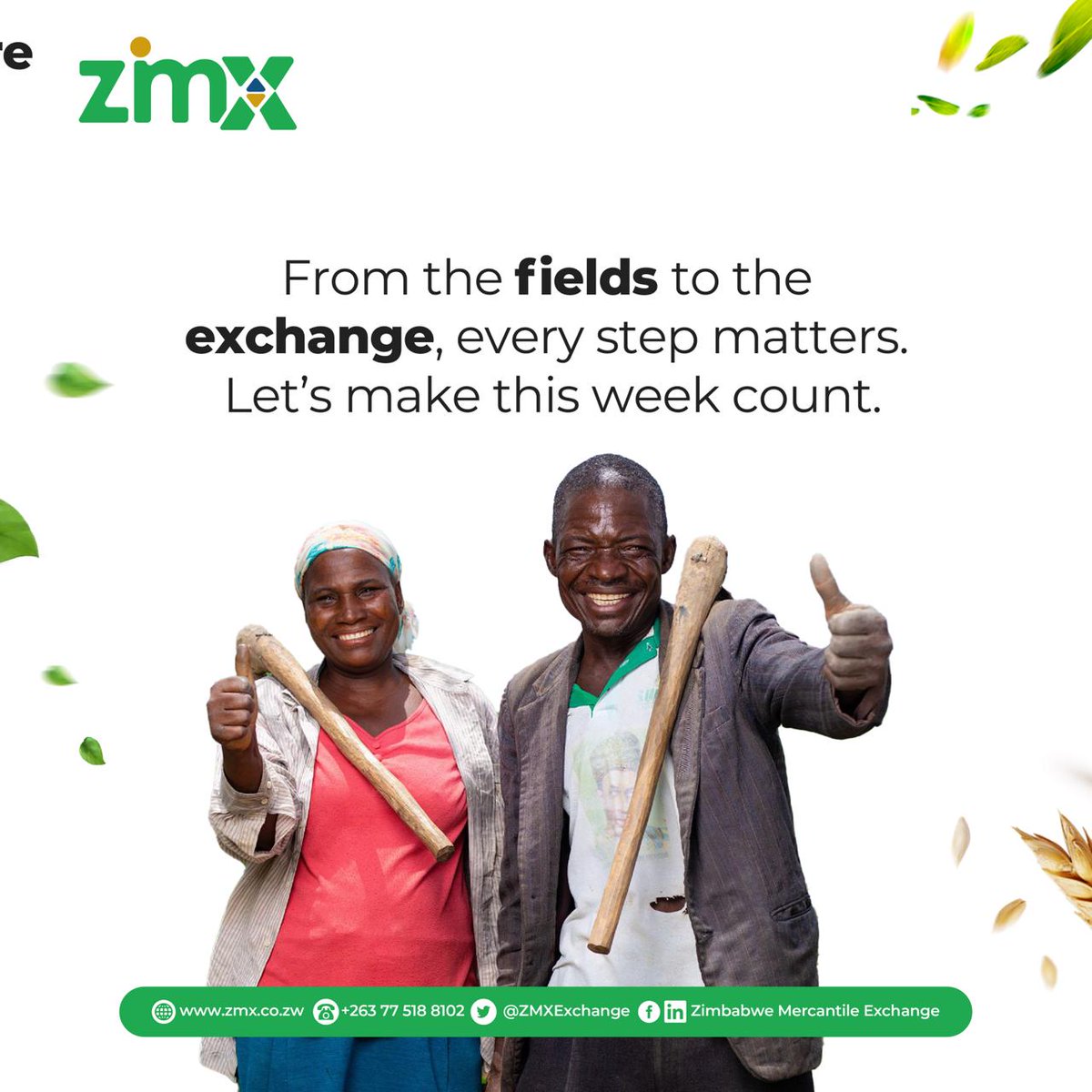 Zimbabwe Mercantile Exchange tweet media