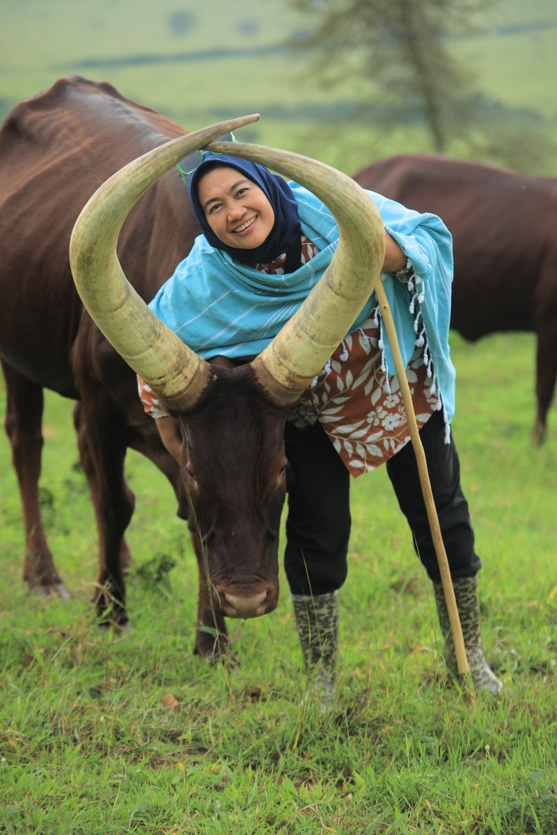 Emburara Farm Lodge tweet media
