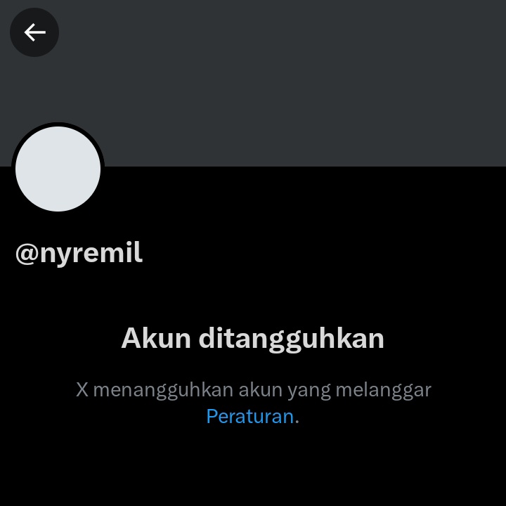 ⋆ gee lagi ! tweet media