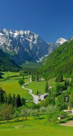 田村 月乃 tweet media