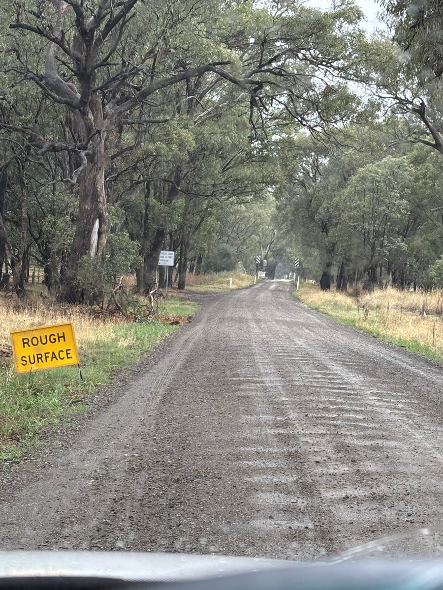 Dona McQueen tweet media