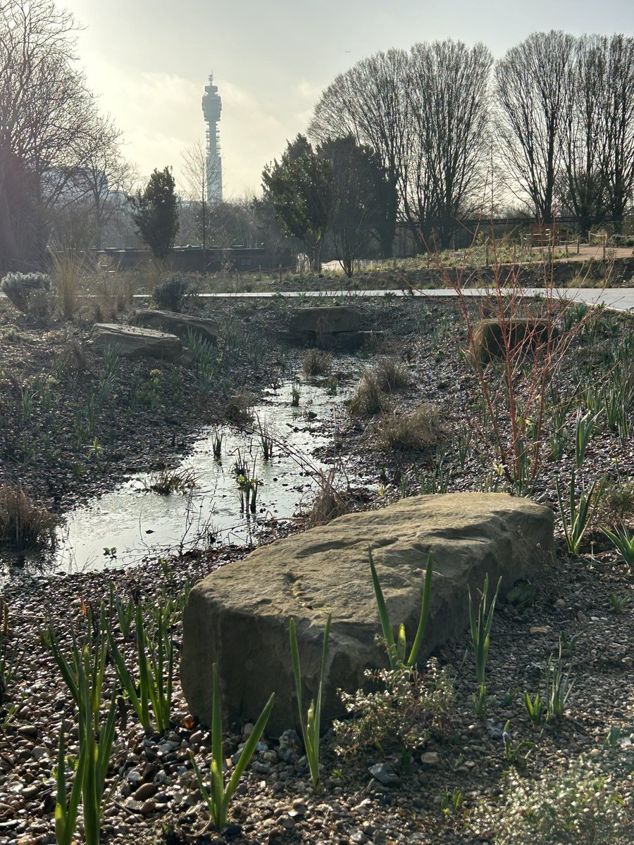 Jon Betts tweet media