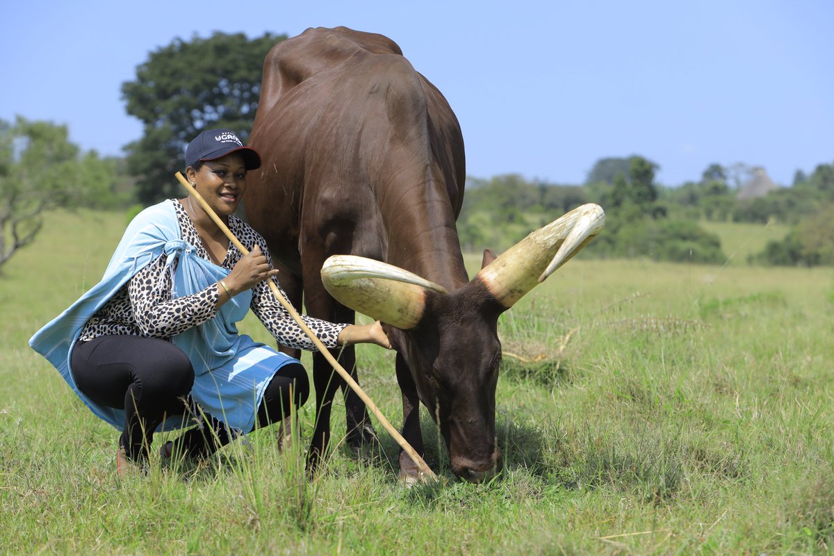 Emburara Farm Lodge tweet media