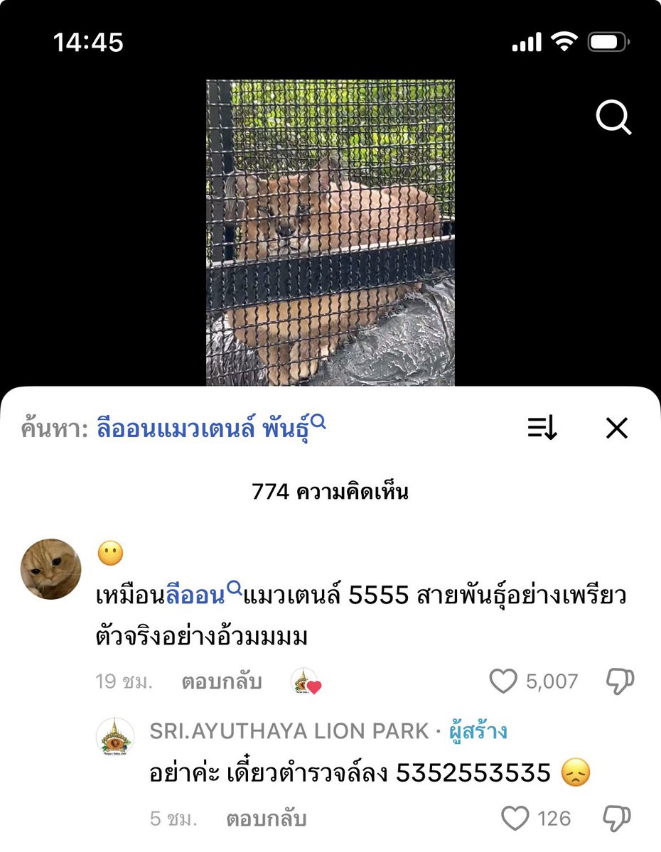 ยัยลีออนโดนบูบี้ยันในtiktokเลยหรอ สงสารอ้วมมม🤣🤣🤣