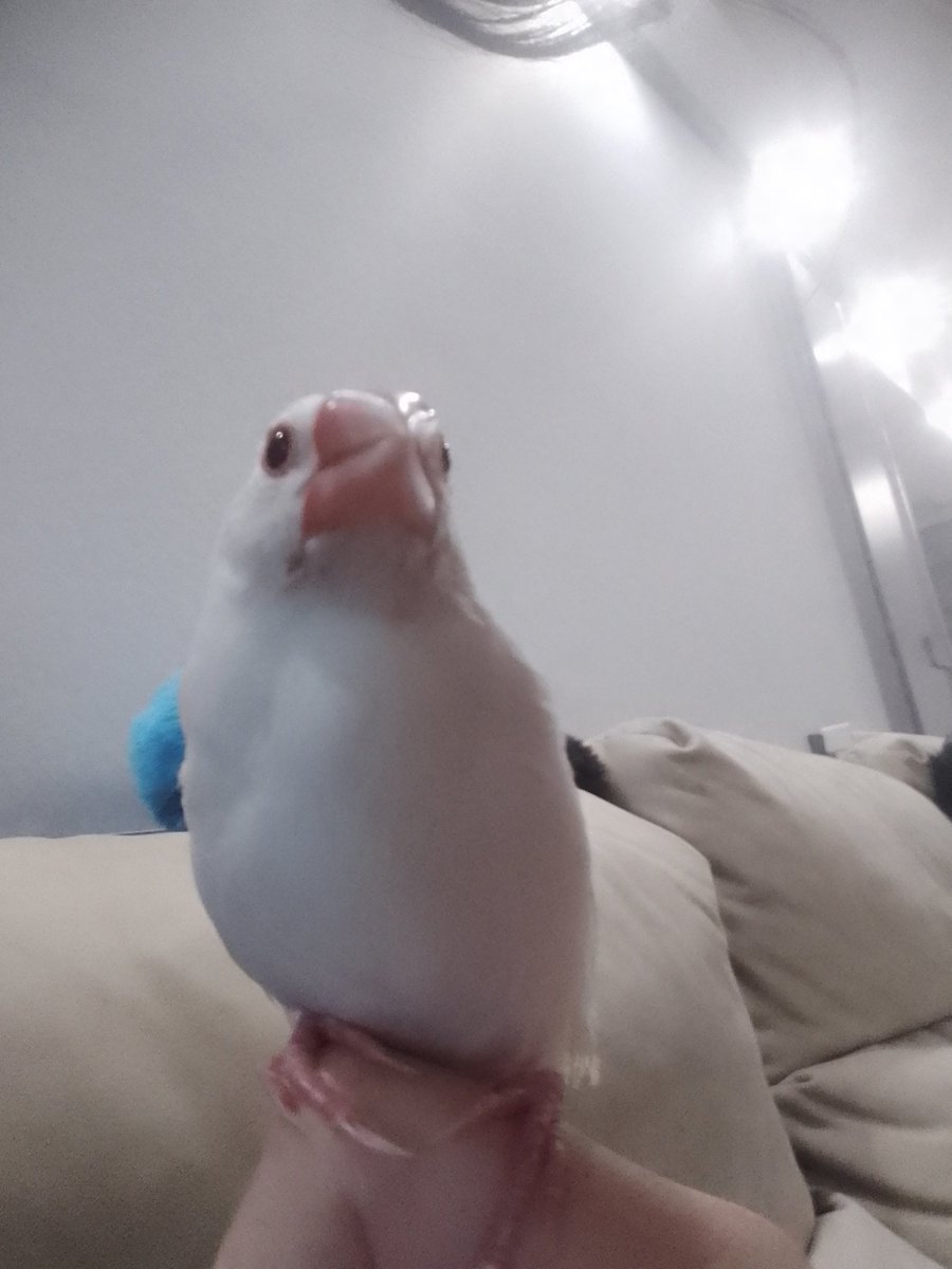 Autumnsun☀️ tweet media