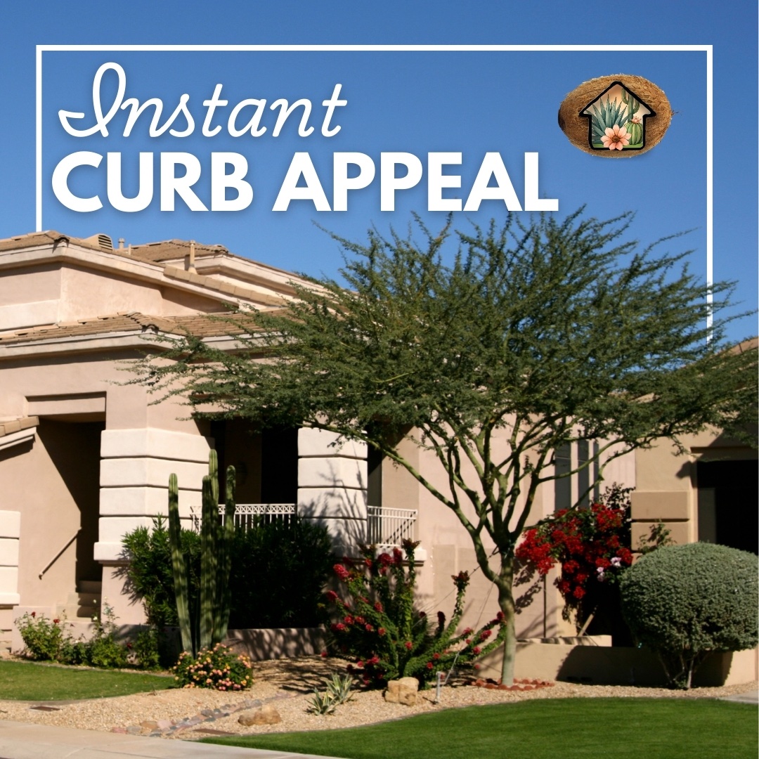 CoconutContrac1's tweet photo. Want instant curb appeal? A freshly mowed lawn, clean edges, healthy plants, and bright flowers can completely transform your home. Our team provides professional lawn maintenance and landscaping services to make your yard look its best. Visit us at https://t.co/1QiXTyivPM. https://t.co/OfqYXeDjRL