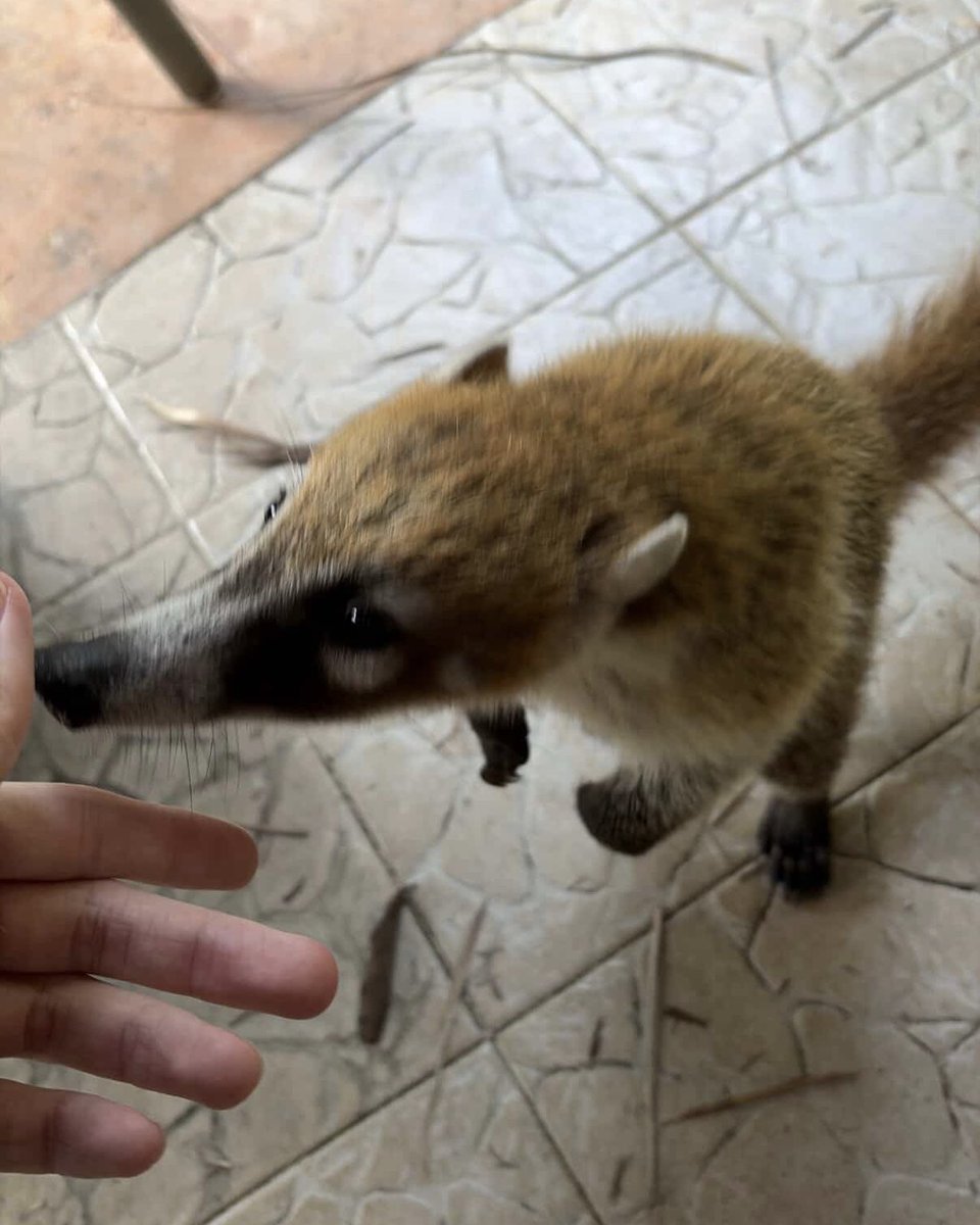 Raped ™ By Walen ™ tweet media