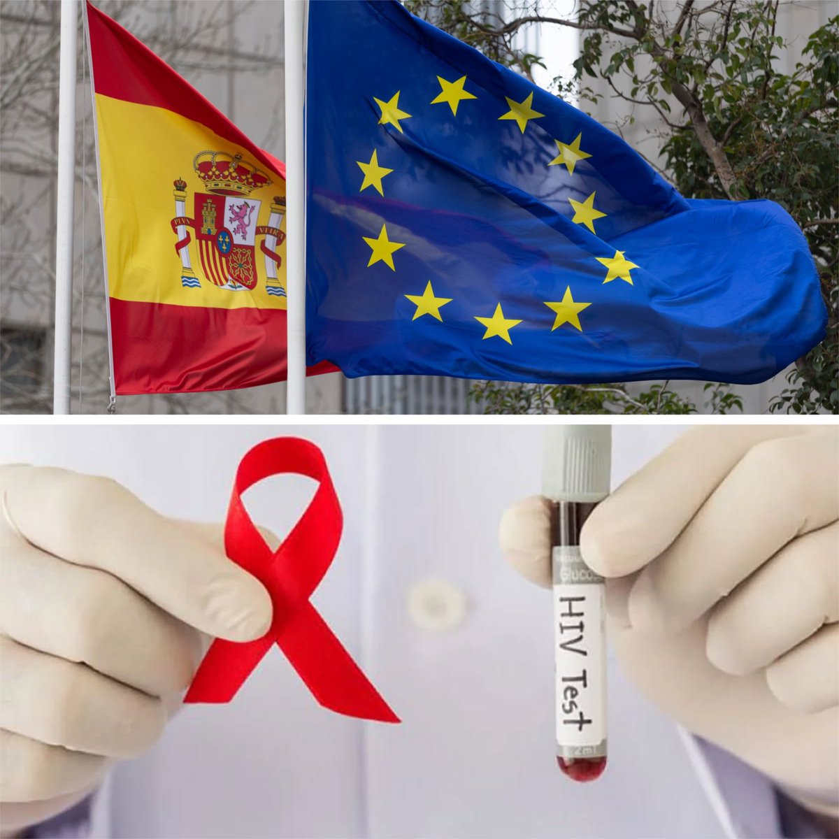 Noticias LGBT+ tweet media