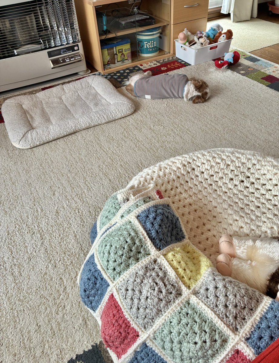 ちび太がベッドやぬくぬくゾーンじゃないところでゴロゴロしていると
春☘️を感じる
そして、カーペットからフローリングでゴロゴロしだすと夏☀️を感じる
フローリングでつっぷしていたら盛夏なわけです🍉

＃シーズー
＃犬で季節の変化がわかる