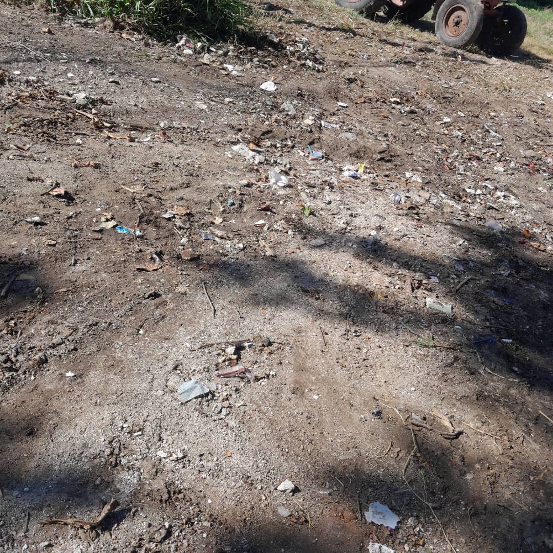 Agroforestal_VC's tweet photo. 🌿 Los #forestales santaclareños protagonizaron otra intensa jornada de higienización en el barrio Bengochea 🏘️, donde con esfuerzo colectivo 💪 eliminaron un basurero que afectaba la comunidad. Cuidemos nuestro entorno.
@DiamelaRan86041 @OsmaniGarcia68 @DilkyPonce @ihosvany57657 https://t.co/BlSxSpBfNU