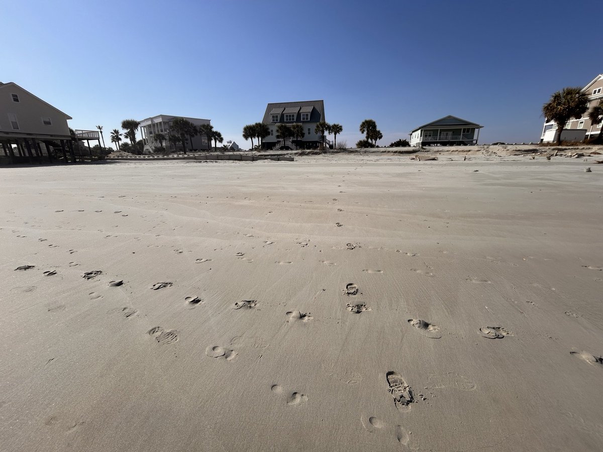 Steve Roth tweet media