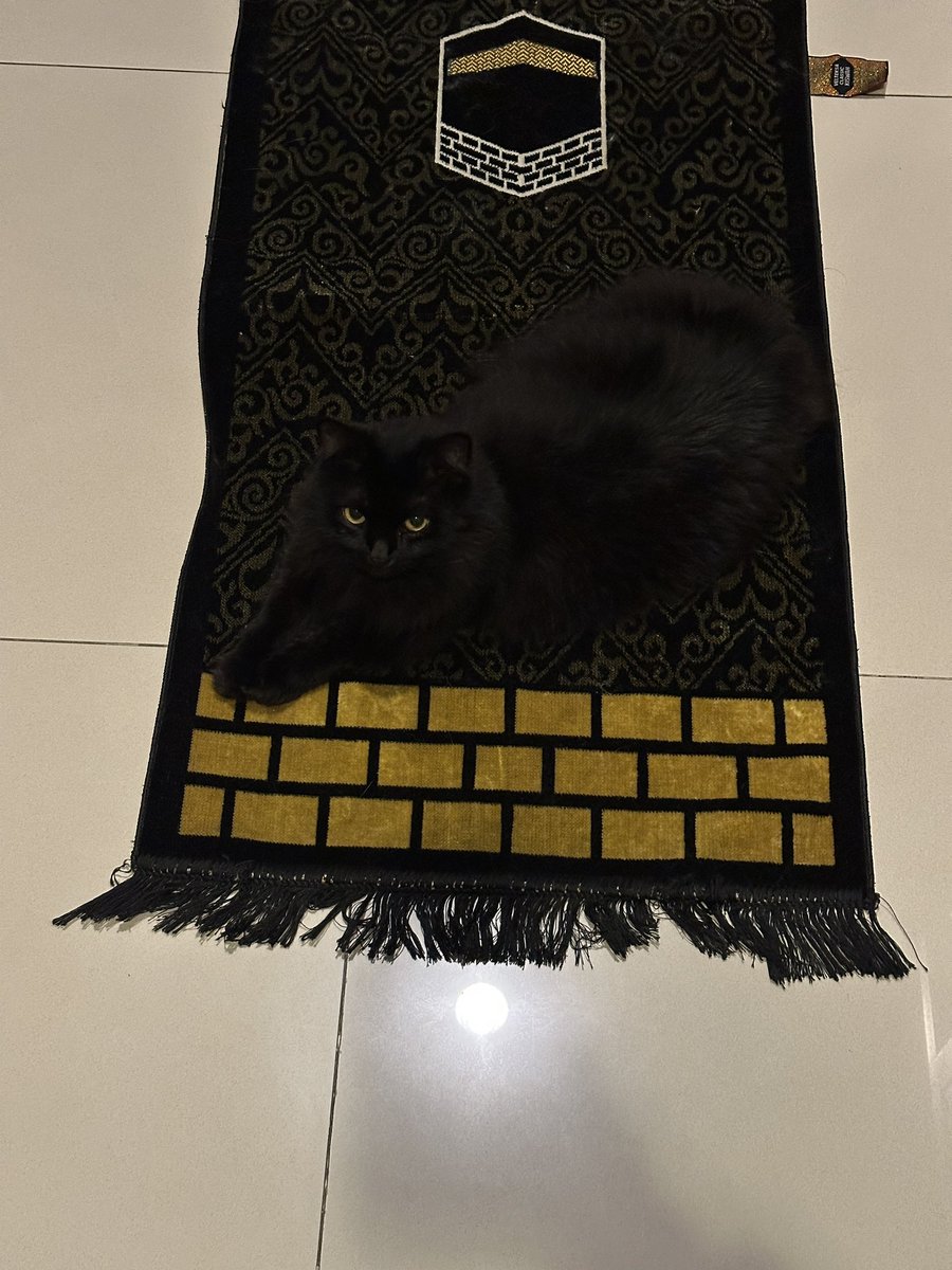 Yg lain: turu
Timun: berdoa &amp; mengaji