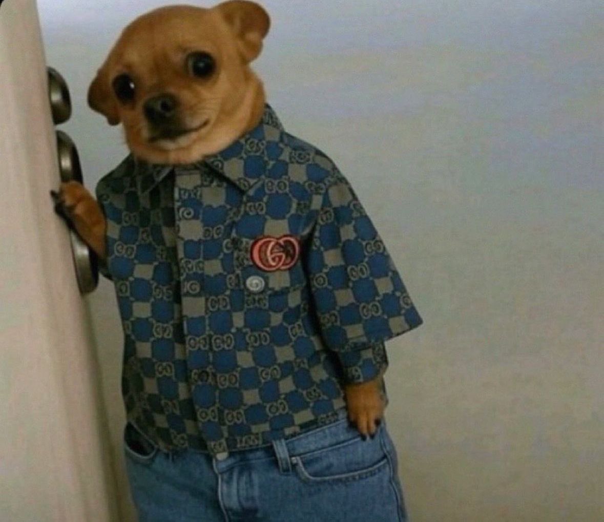 Una sha want make i go back to zero followers 💔😭
    Cuz which one be all this unfollows wey I dey get everyday😭