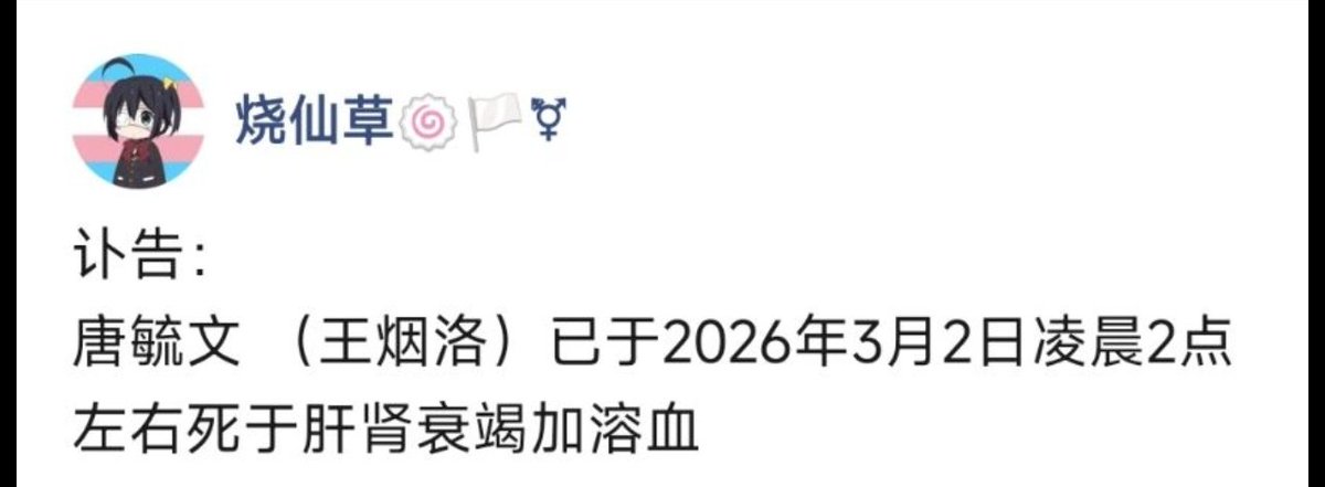 鹿目圆环(糖商/全球直发) tweet media