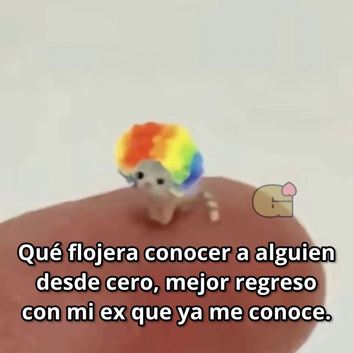 Guarromantico_'s tweet photo. Qué flojera. https://t.co/VBoa0g8zWM