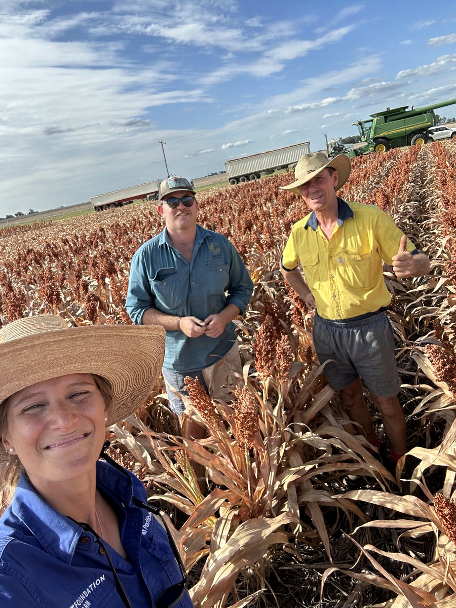 Pacific Seeds tweet media