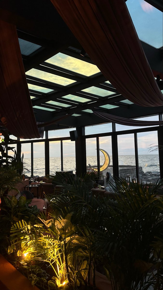 طارق tweet media