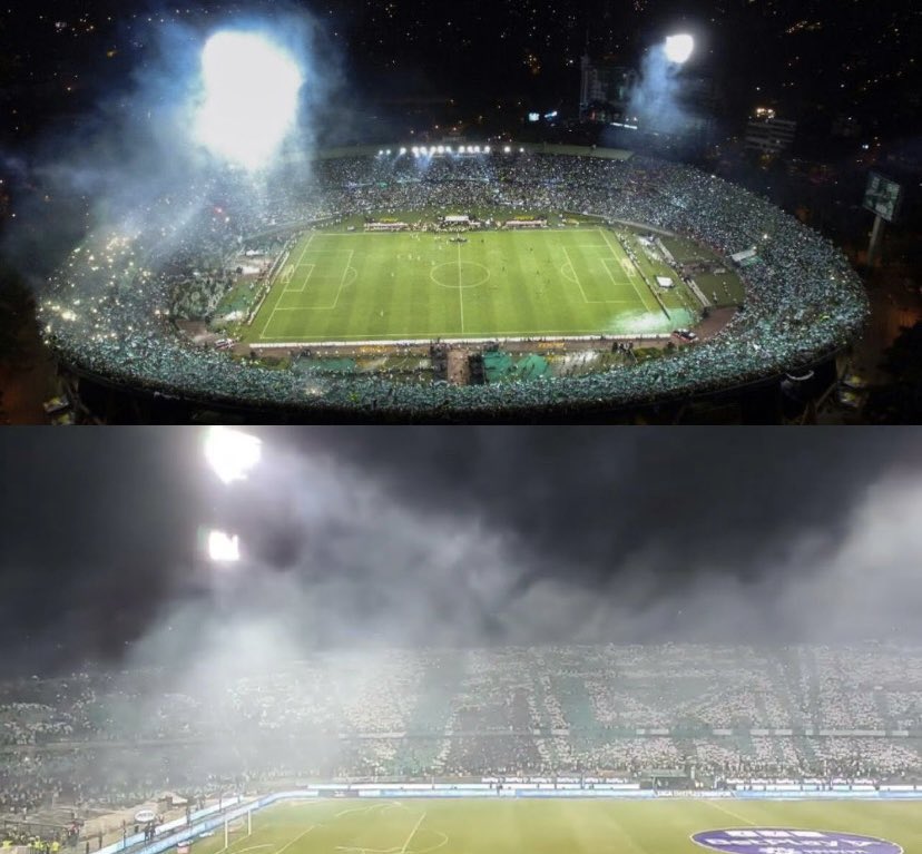 Alex' Parra M' tweet media