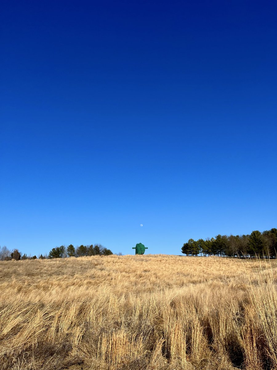 Shannon Cherie tweet media