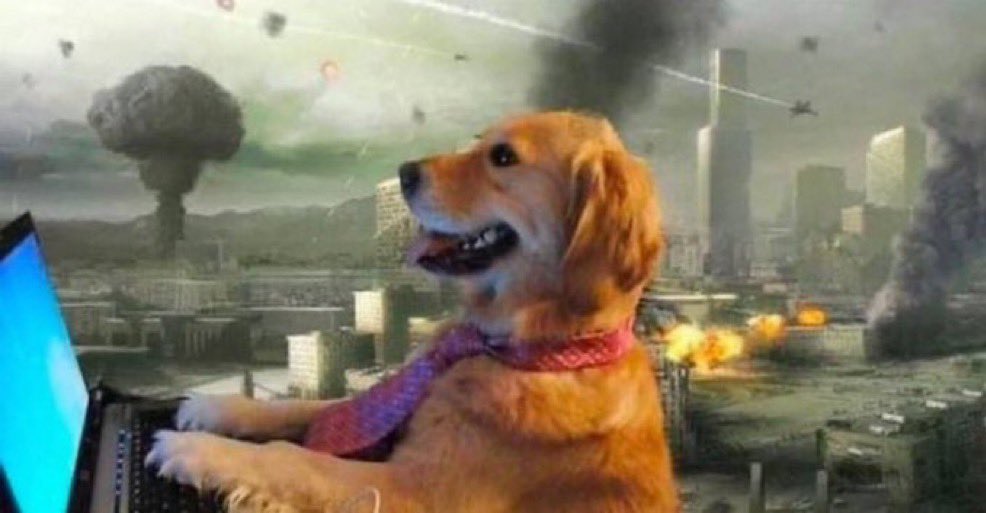 How it feels to work at my email job while we are heading into WW3