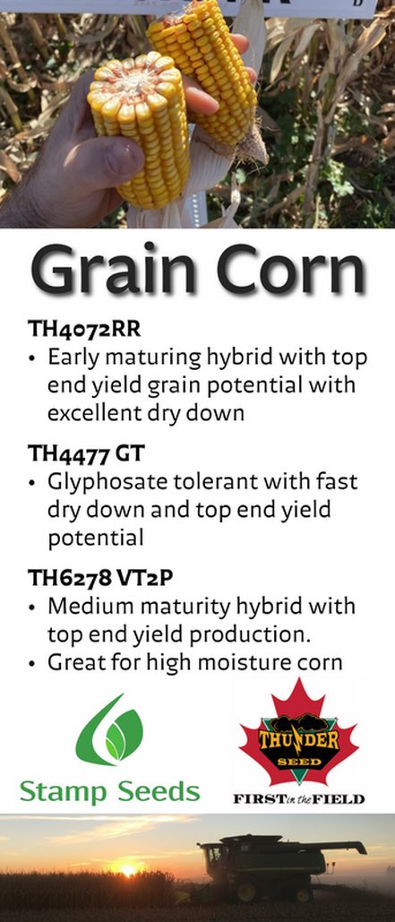 Stamp Seeds 🌱 tweet media