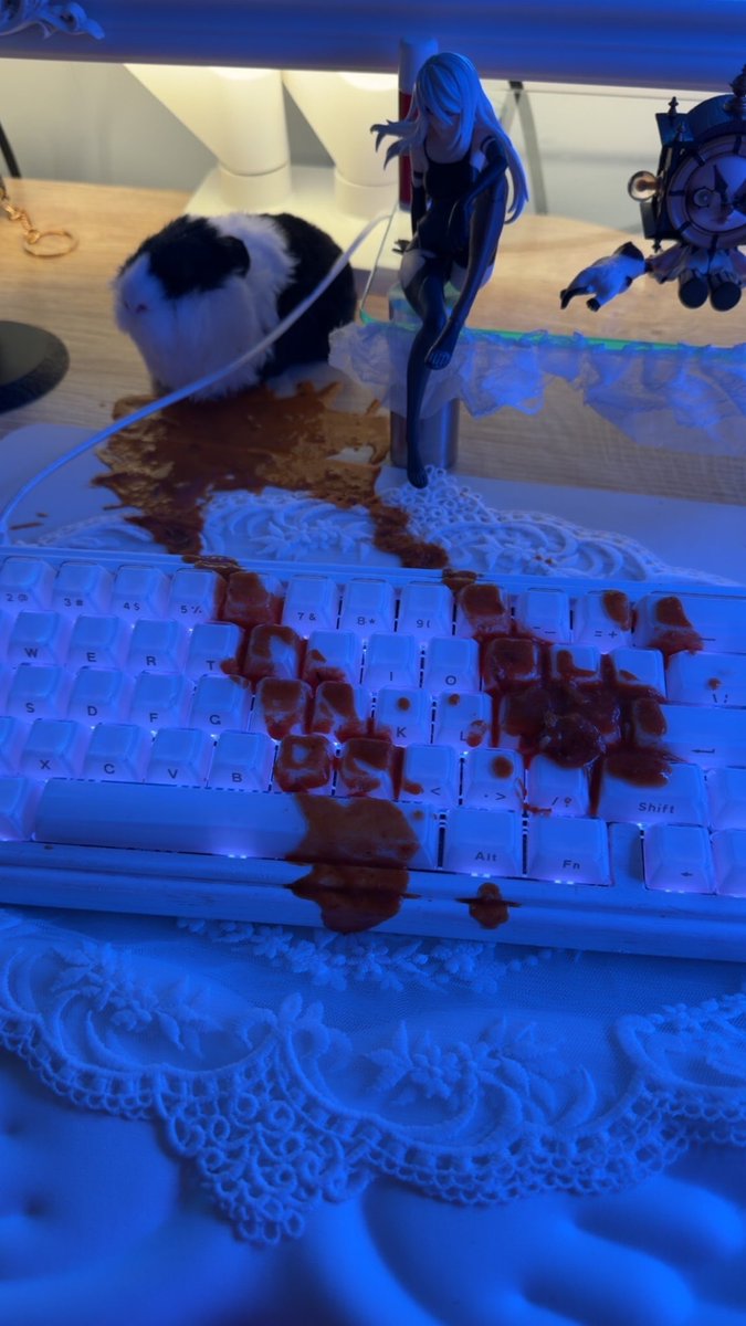 dollcored tweet media