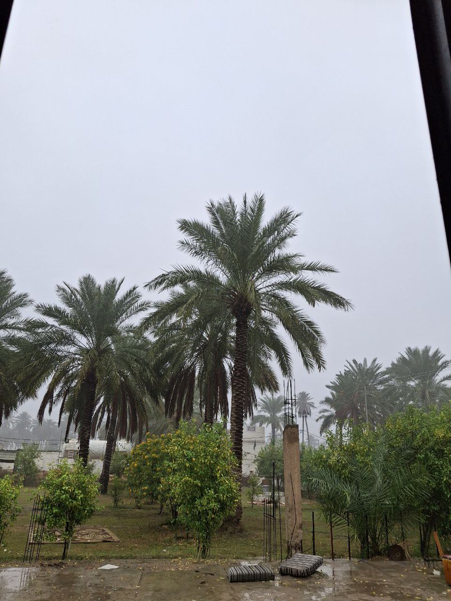 a2h2d2's tweet photo. أمام قبرك نور ليس يدركه 
إلا الذين لهم من ربهم مدد
#شعر #وتد https://t.co/qJDiUOXg8L