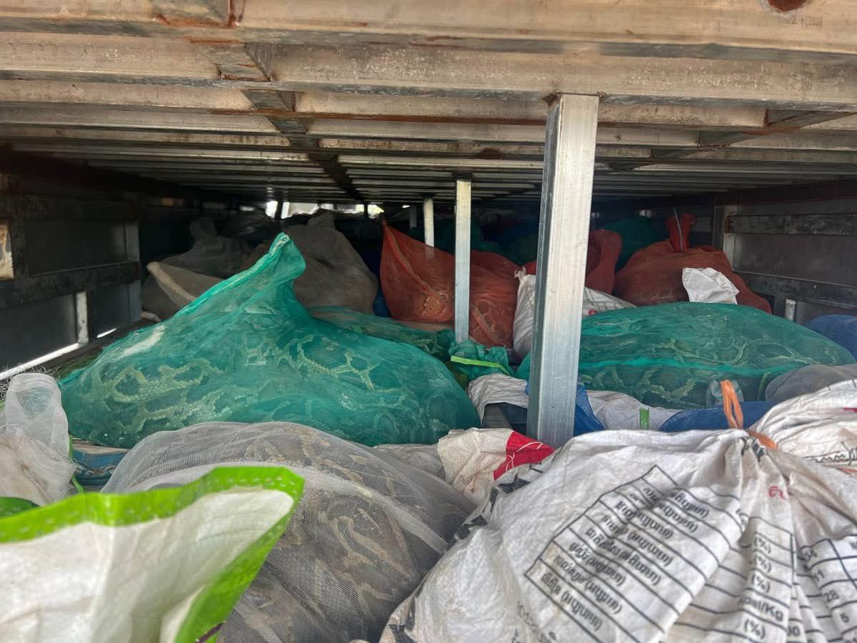 Noan Sereiboth​  tweet media