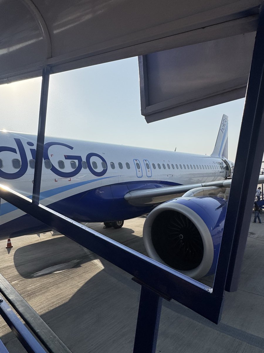 Godlike MEMO tweet media