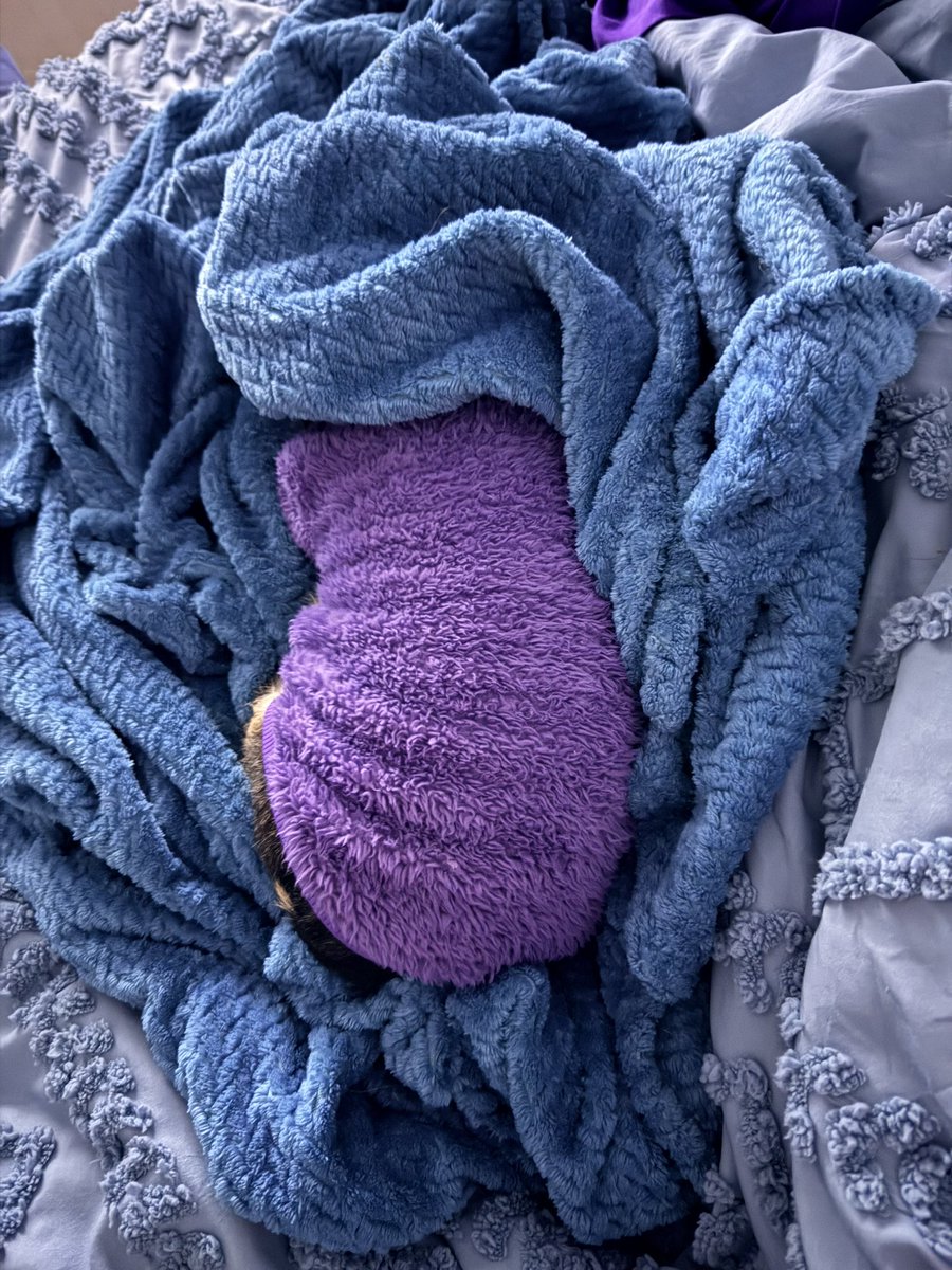 I guess Minnie is done for the night
She has her purple sweater on and buried her head under a blanket lol