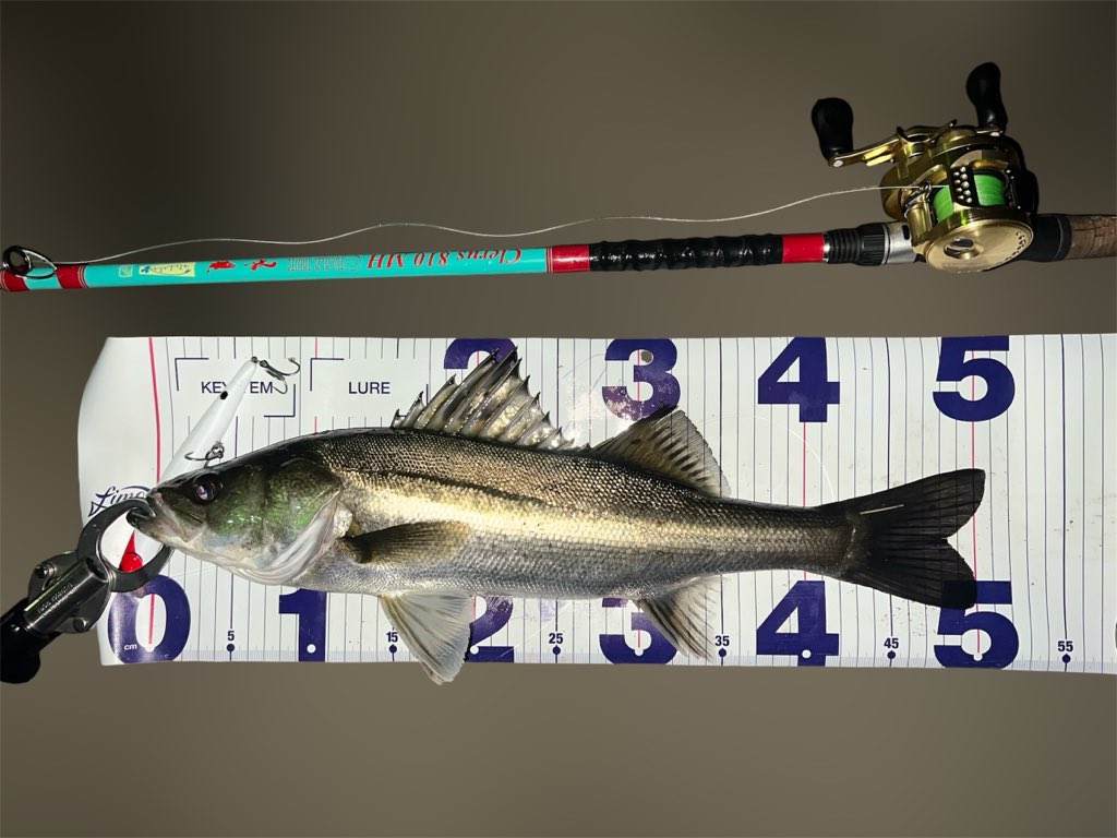 ゆうた tweet media