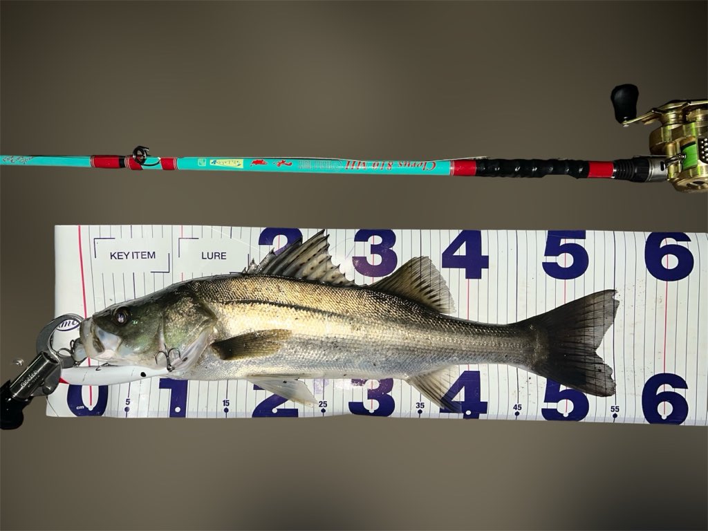 ゆうた tweet media