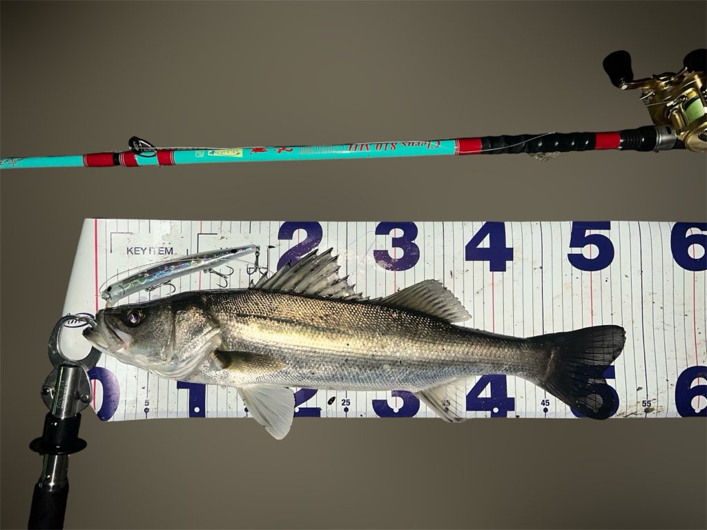 ゆうた tweet media