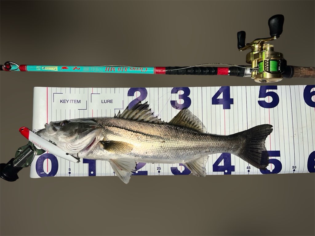 ゆうた tweet media