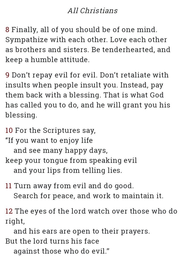 Kaylee Crimson tweet media