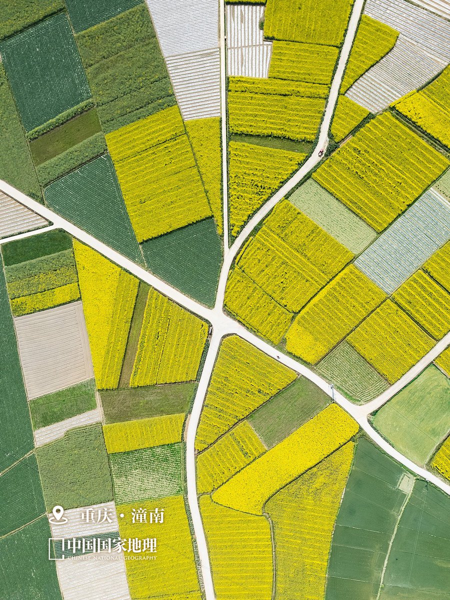 欧公故里 tweet media