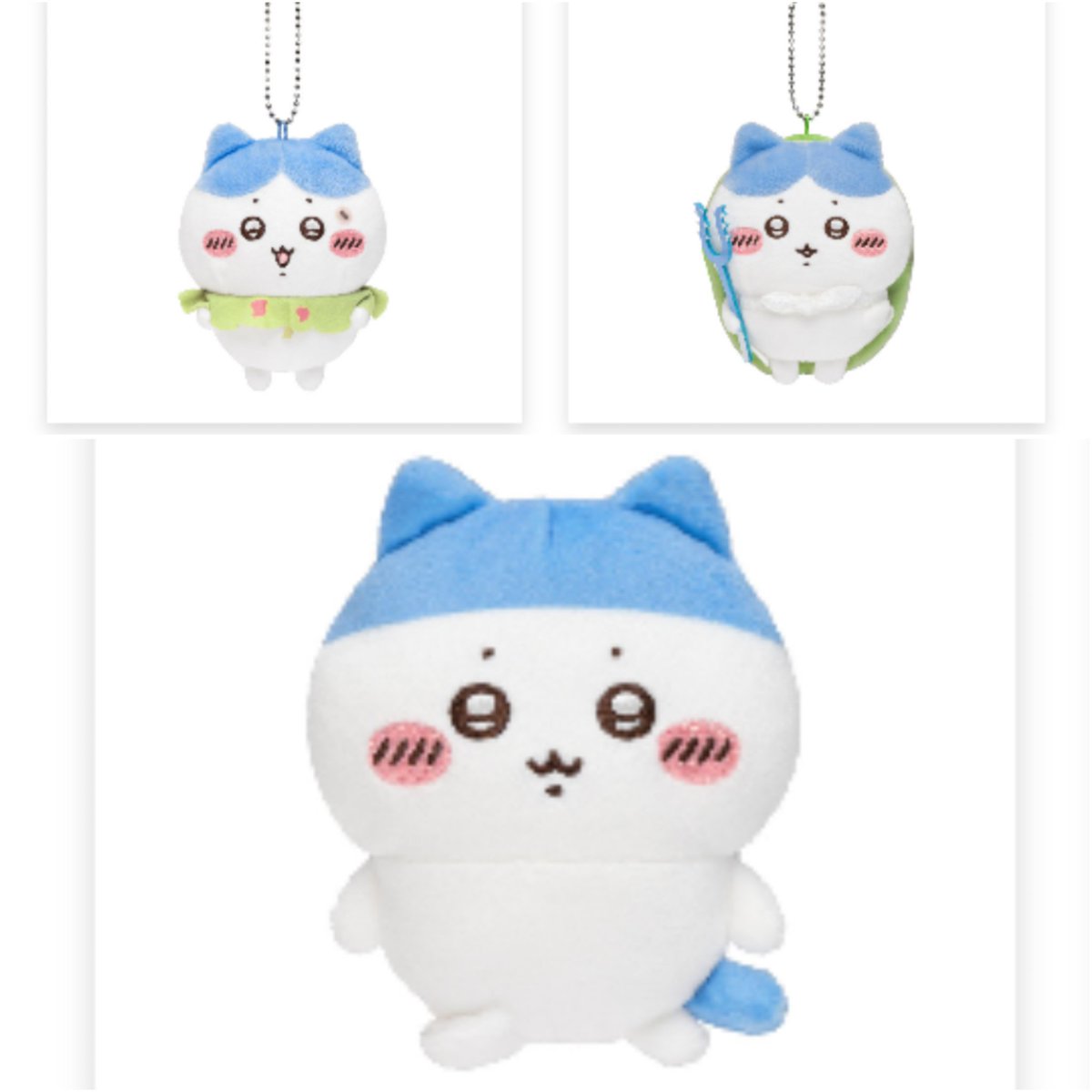 くらげ tweet media