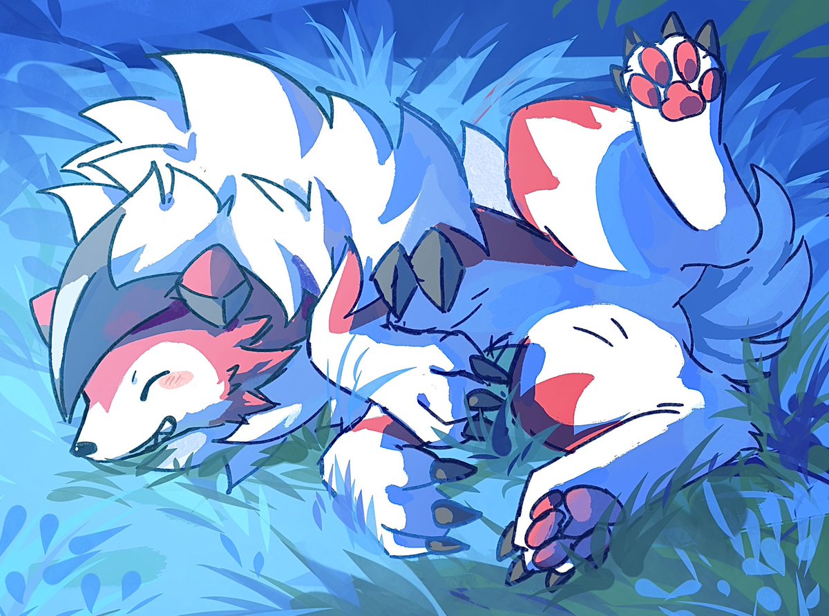 세쾅이 / セクァンイ tweet media