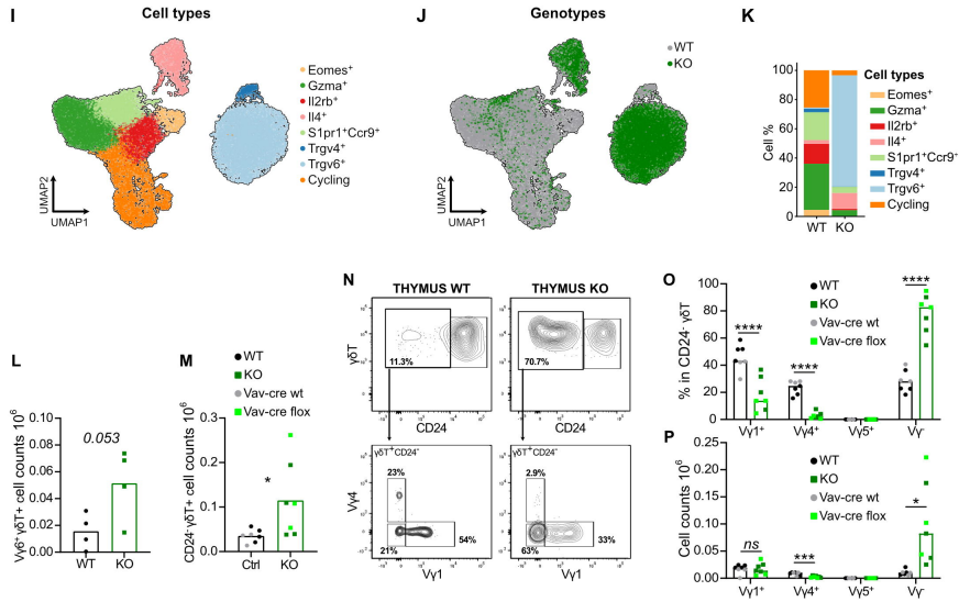 Waggoner Lab tweet media