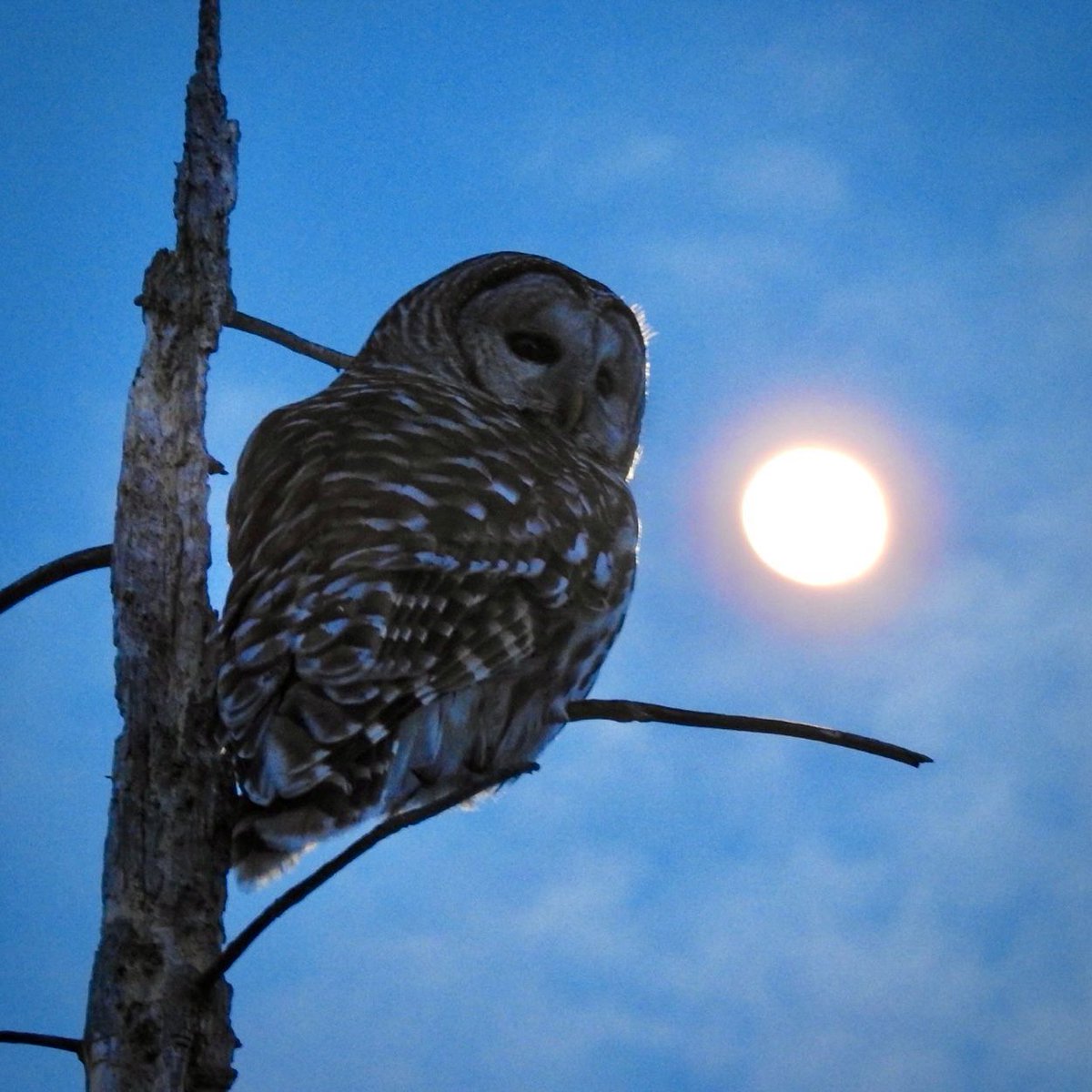 Happy Place Friends tweet media