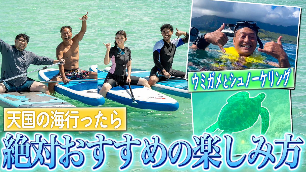 ハワイに恋して！ 最新話公開‼️ 天国の海🌊でウミガメと