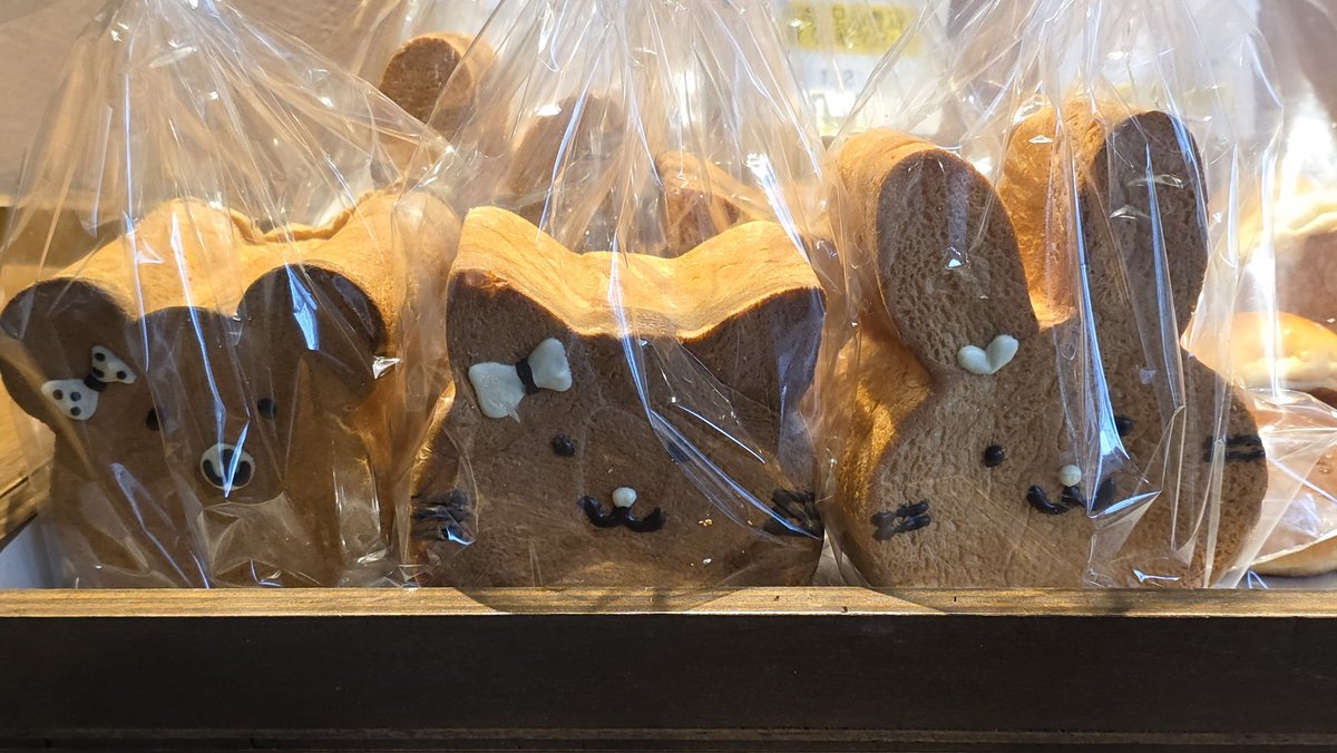 식빵 귀여워 🐶🐱🐰