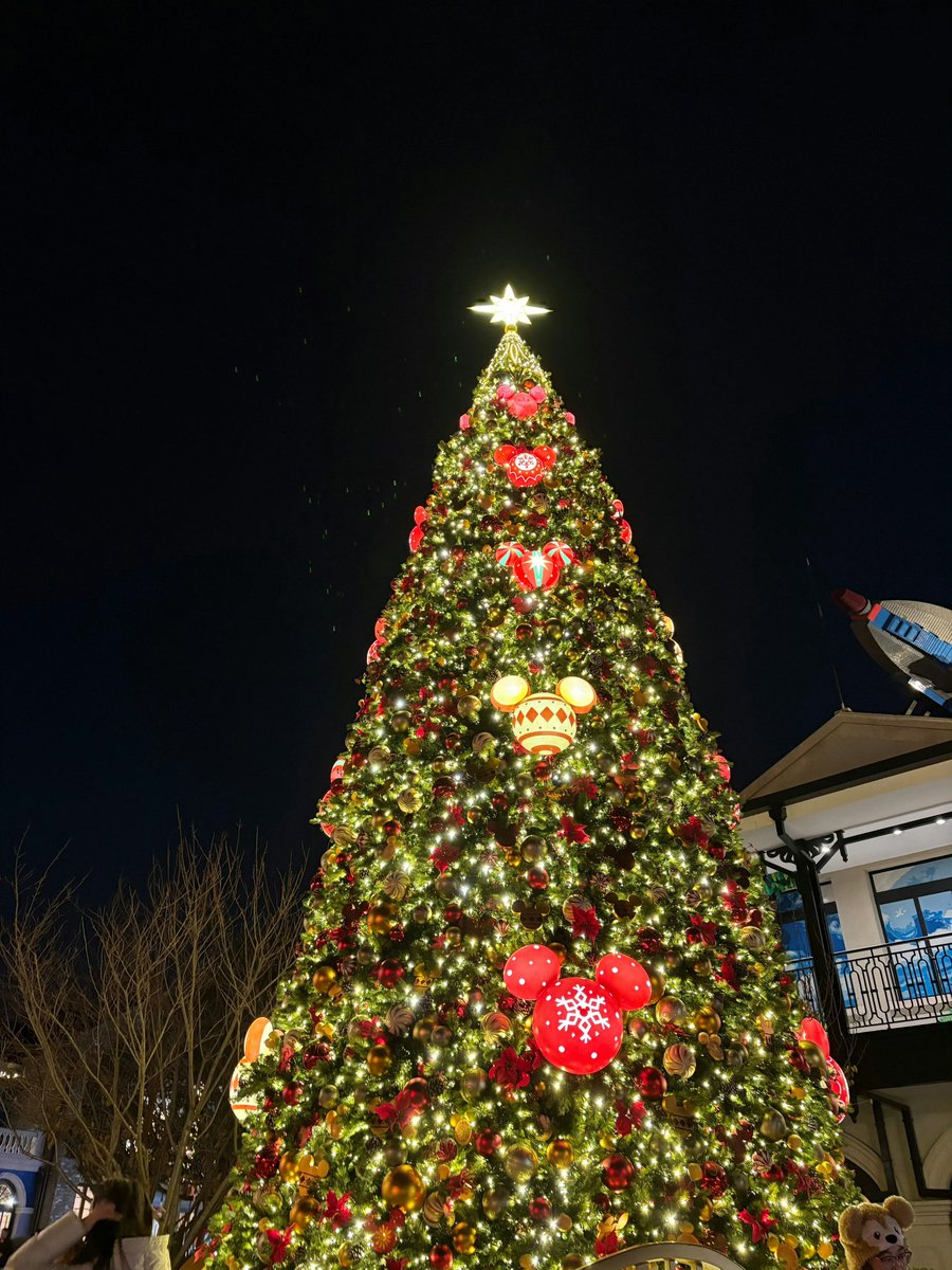 橘橘大橘猫 tweet media