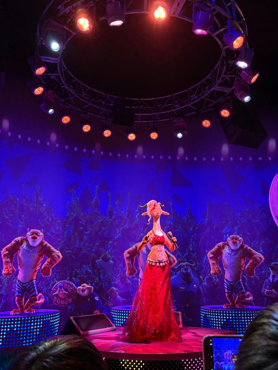 橘橘大橘猫 tweet media