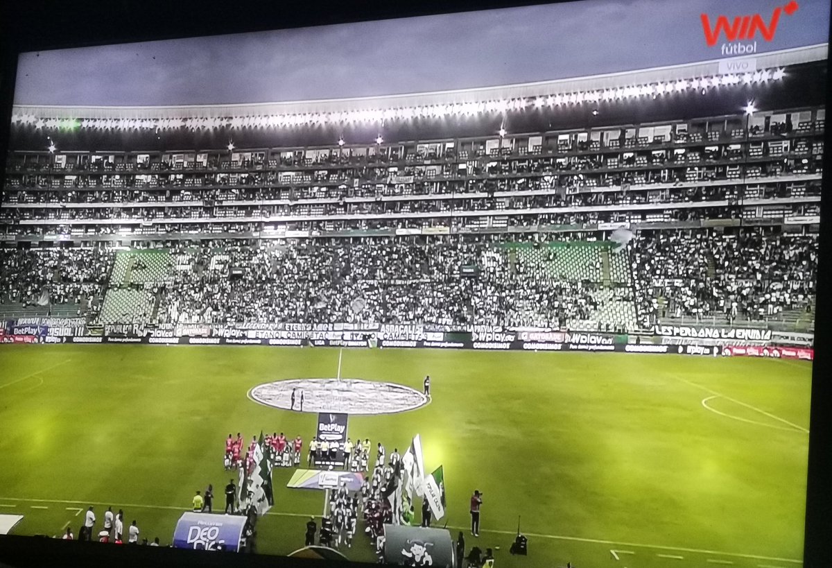 Les trajieron a Emanuel "Bebelo" Reynoso, Dineno y Gallese, y no son capaces de llenar ese estadio.

LA HINCHADA DEL CALI ES LA PEOR DEL PAÍS POR LEJOS.