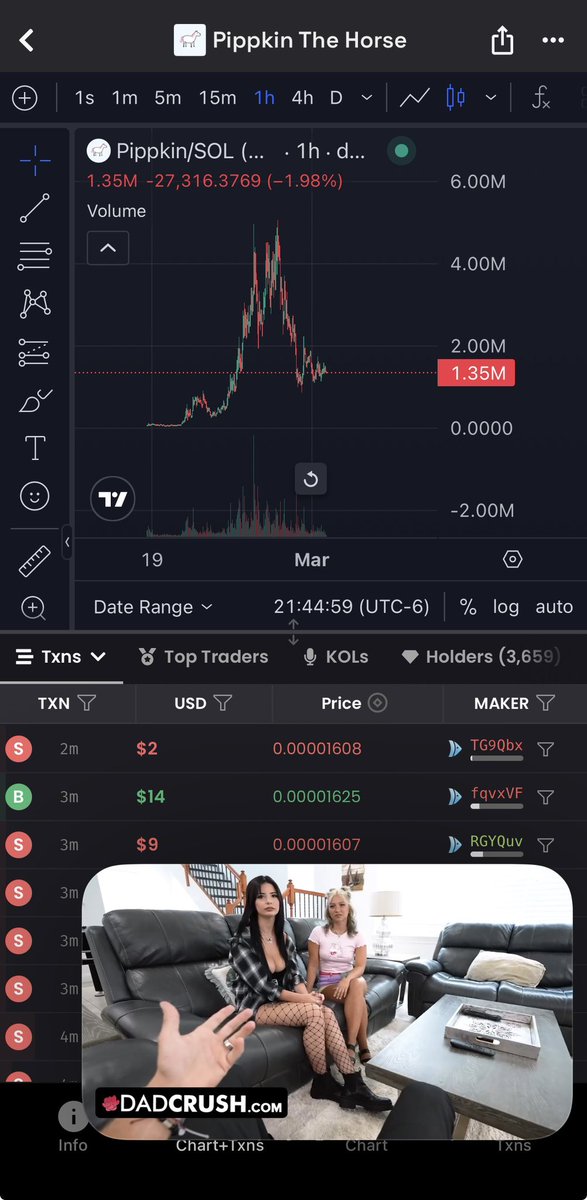 I WILL SAY THIS 1000 TIMES GRAB YOUR ENTRY NOW BEFORE ITS TOO LATE WAKE TF UP AND GRAB $PIPPKIN