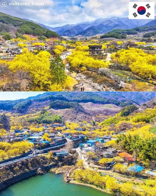 Korean Topik tweet media