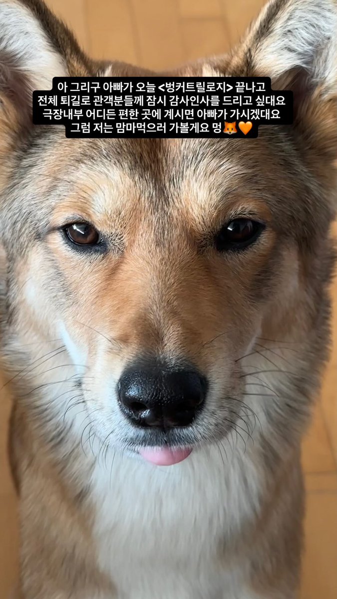 김바다아카이브 tweet media