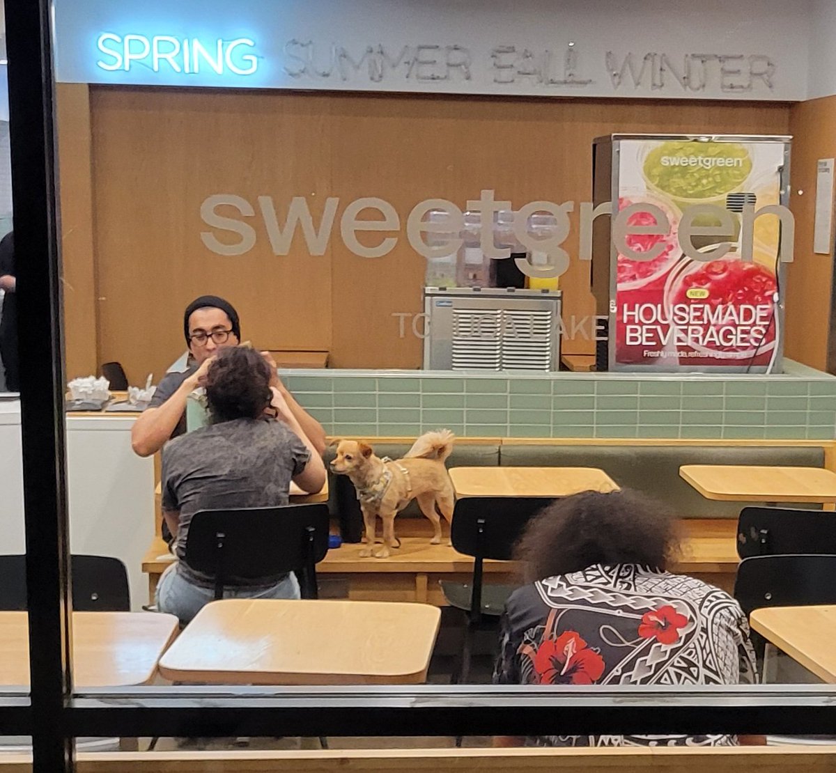 Mike_V__'s tweet photo. @lapublichealth @sweetgreen on 4320 W Riverside Dr, Burbank, CA 91505, on 03/01/2026, 6:38pm had a dog inside the restaurant on the chairs with its face on the table https://t.co/2dEmTJdkKV