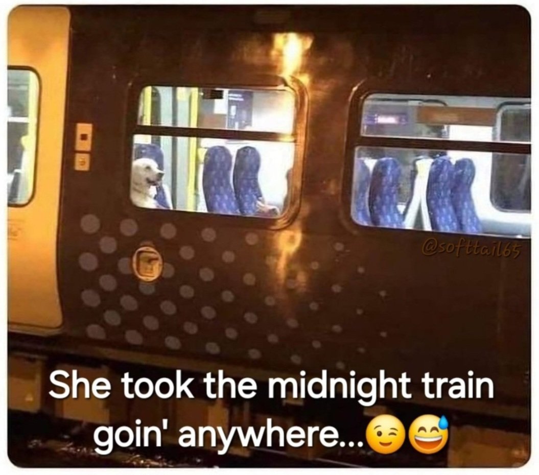 Monica 💙🌻🏳️‍🌈 tweet media